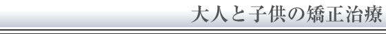 ʋ